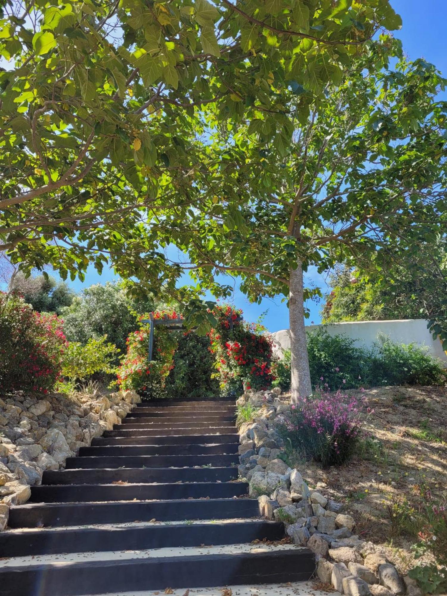 Hotel Sindhura Vejer de la Frontera Extérieur photo