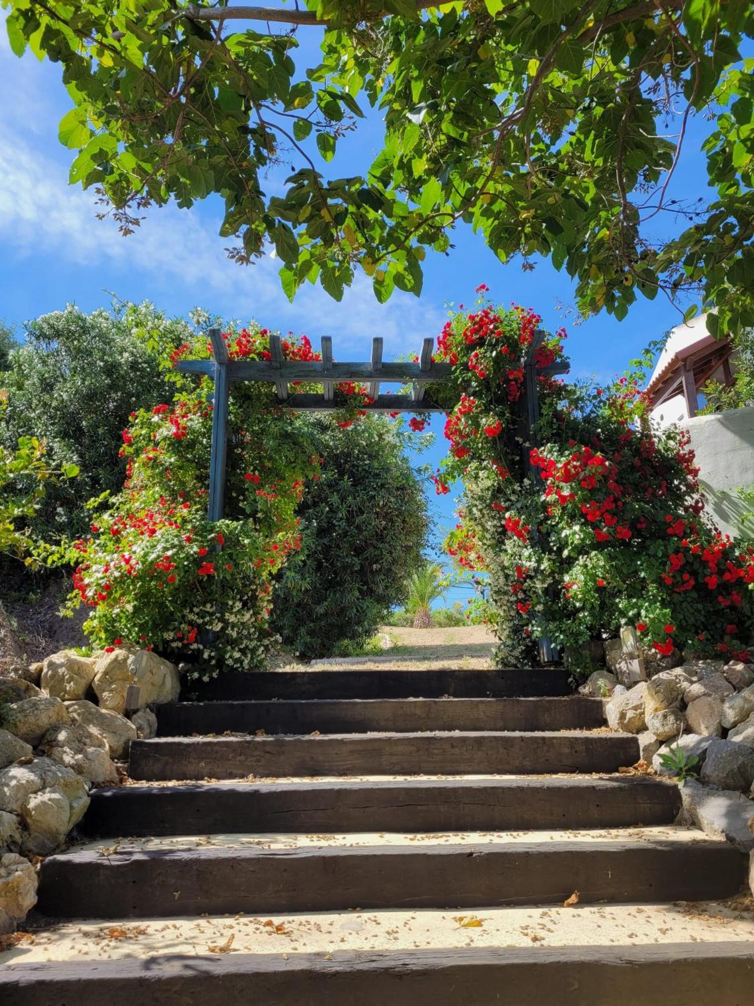 Hotel Sindhura Vejer de la Frontera Extérieur photo